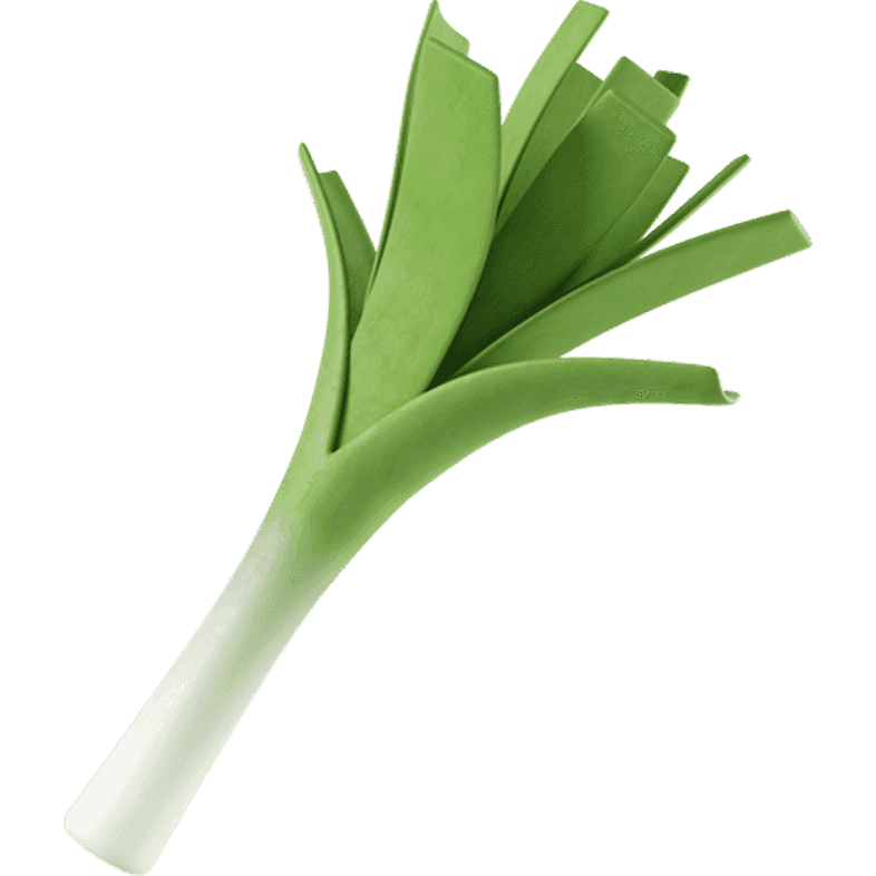 Студии йоги и  фитнес-клубы